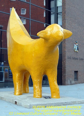 The original superlambanana